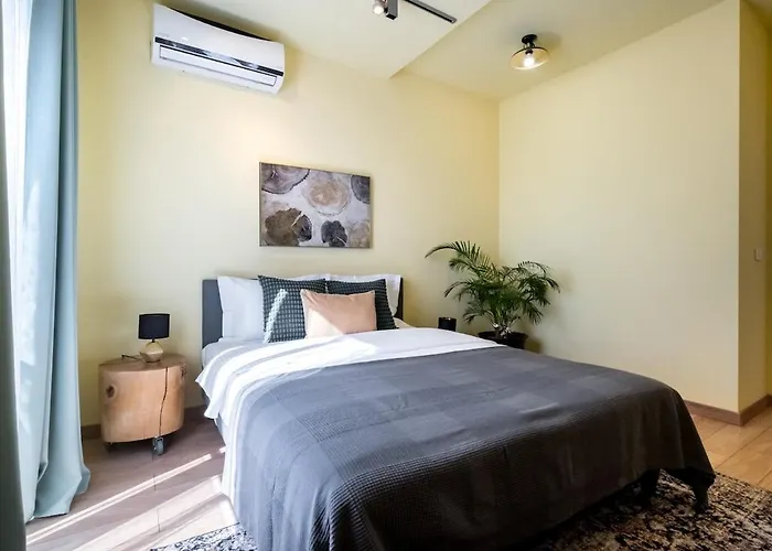 Vivando - Classic Ap D - New Building Apartman Bukarest